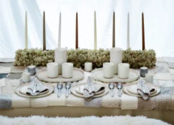 Mateus Plato MSY 20 Cm 15 Mateus Plato MSY 20 Cm -Vajilla Tienda 37170 03 12 EnvironmentImage 39f55b23ee