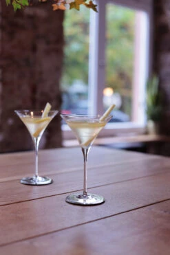 Spiegelau 2 Copas De Cóctel Signature 22 Cl -Vajilla Tienda 502377 01 4 EnvironmentImage 3ea74b6e24