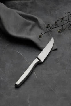 Gense Cuchillo De Carne Norm 4 Unidades -Vajilla Tienda 568744 01 10 10 EnvironmentImage 5e7fd2478c
